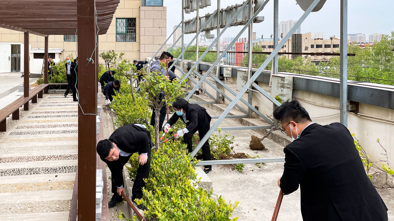 平臺花園換新顏-(2).jpg